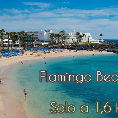 Apartment For Lanzarote Holidays House
