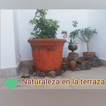 For Lanzarote Holidays House Διαμέρισμα