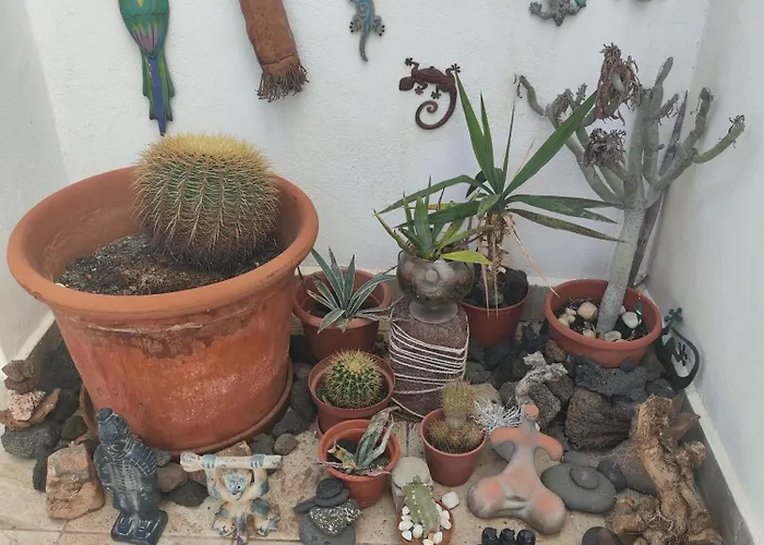 For Lanzarote Holidays House Playa Blanca (Lanzarote)