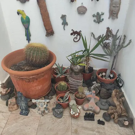 For Lanzarote Holidays House Πλάγια Μπλάνκα